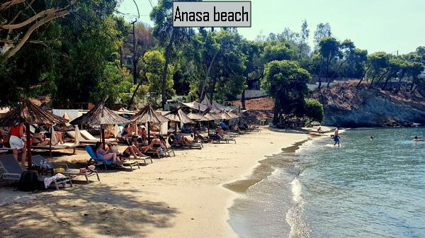 Beach-Anasa