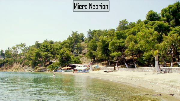 Beach-Micro_Neorion